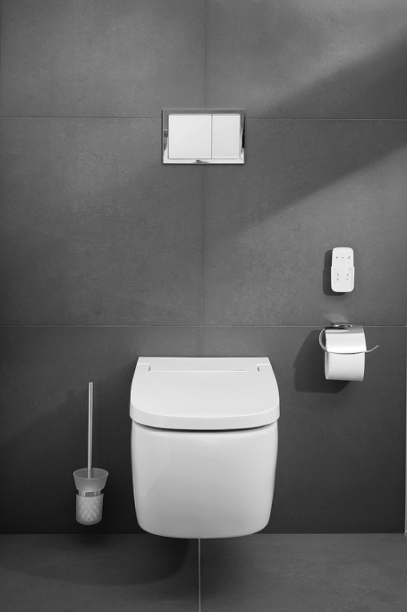 Diana L100 Basic - duschtoilet pakke - INKL. SDE