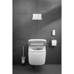 Diana L100 Basic - duschtoilet pakke - INKL. SDE