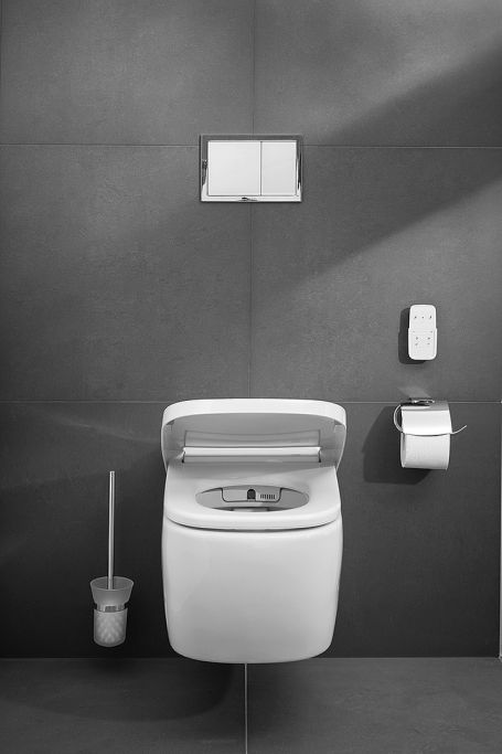 Diana L100 Basic - duschtoilet pakke - INKL. SDE