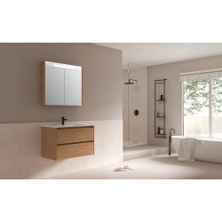 Proline 80 cm spejlskab - 2 lger - LED Lys - Ideal Eg